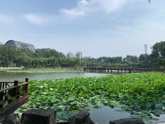 -中国农业博物馆