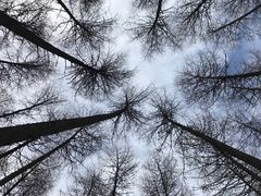 -硗碛藏寨·神木垒景区