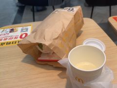 -麦当劳(深圳北站高铁店)