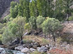 -百里山水画廊乌龙峡谷