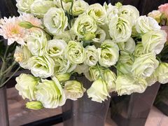-ChaKo Flora ·茶子花艺 (市北店)