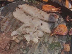 -喜井无限自助烤肉公司(石厦店)