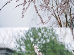 -三里河公园