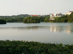 -泉州迎宾馆