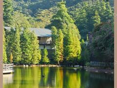 -广州市帽峰山景区