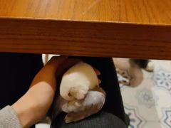 -食其家·牛丼咖喱(A世界店)