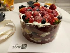 -维尔纳斯·生日蛋糕·动物奶油冰淇淋蛋糕(雨花店)