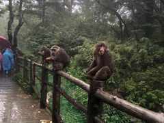 -峨眉山风景名胜区
