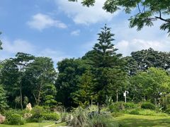 -东莞植物园