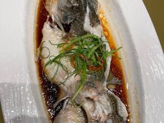 清蒸鲈鱼-艳阳天民俗村(公园路店)
