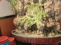 -成老灶火锅鸡(平山店)
