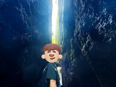 -汤旺河林海奇石景区