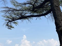 -幕燕滨江·燕子矶公园