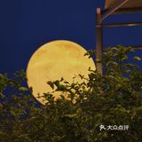 昙华林