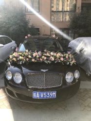 -蚂蚁婚车