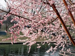 -安定门(地铁站)