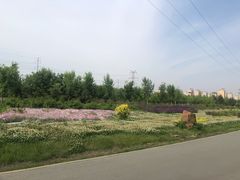 景点-南关北海公园