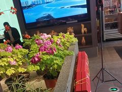 -杏花村水席楼·洛阳水席(老城十字街店)