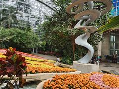 -南山植物园