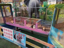 -萌宠亲子动物乐园(槐房万达店)