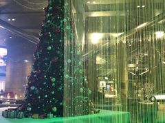 -广州富力君悦大酒店空中花园