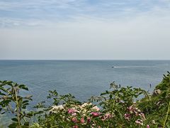 -养马岛旅游度假区