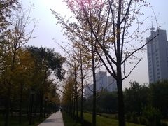 晚秋-唐城墙遗址公园