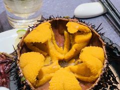 -连鹭海鲜·海肠捞饭·海胆饭(星海店)