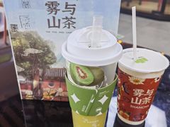 -雾与山茶(大禹城店)