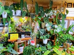 -Rabbit Cafe私房西餐甜点咖啡(栖霞路店)