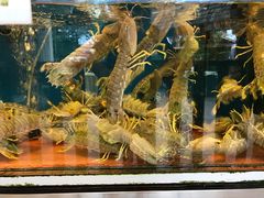 -真浪花园海鲜餐馆