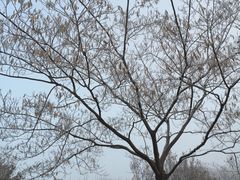 -南开大学滨海学院