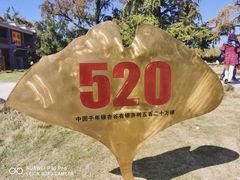 -千年银杏谷文化旅游区