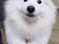 -美联众合动物医院·24h转诊中心