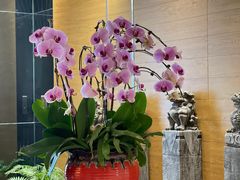 -璞·澐间影院式足道SPA(尚悦湾店)