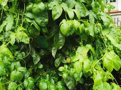 -福州淑佩小金星幼儿园