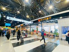 -谢列梅捷沃国际机场