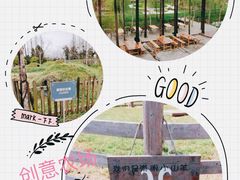 -前小桔亲子创意农场·草莓采摘·露营烧烤