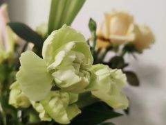 -三圣花乡旅游区