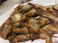 杂鱼-天天渔港海鲜酒家(石浦玉泉路店)