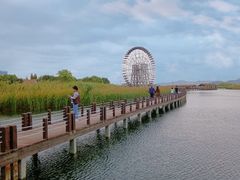 -苏州太湖湖滨国家湿地公园