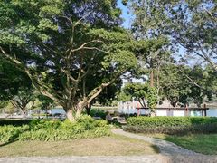 -东莞植物园