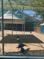 -萌宠亲子动物乐园(槐房万达店)