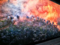 -罗红摄影艺术馆