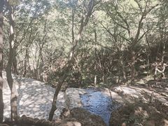 -山叶口景区