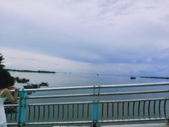 -万绿园