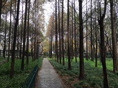 -半岛1919创意园区