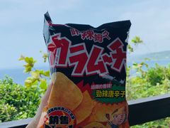 -鹅銮鼻公园