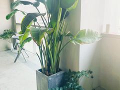 -众独空间沉浸式自习室(三阳路铂仕汇店)