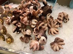 -富力希尔顿酒店·地阔自助餐厅